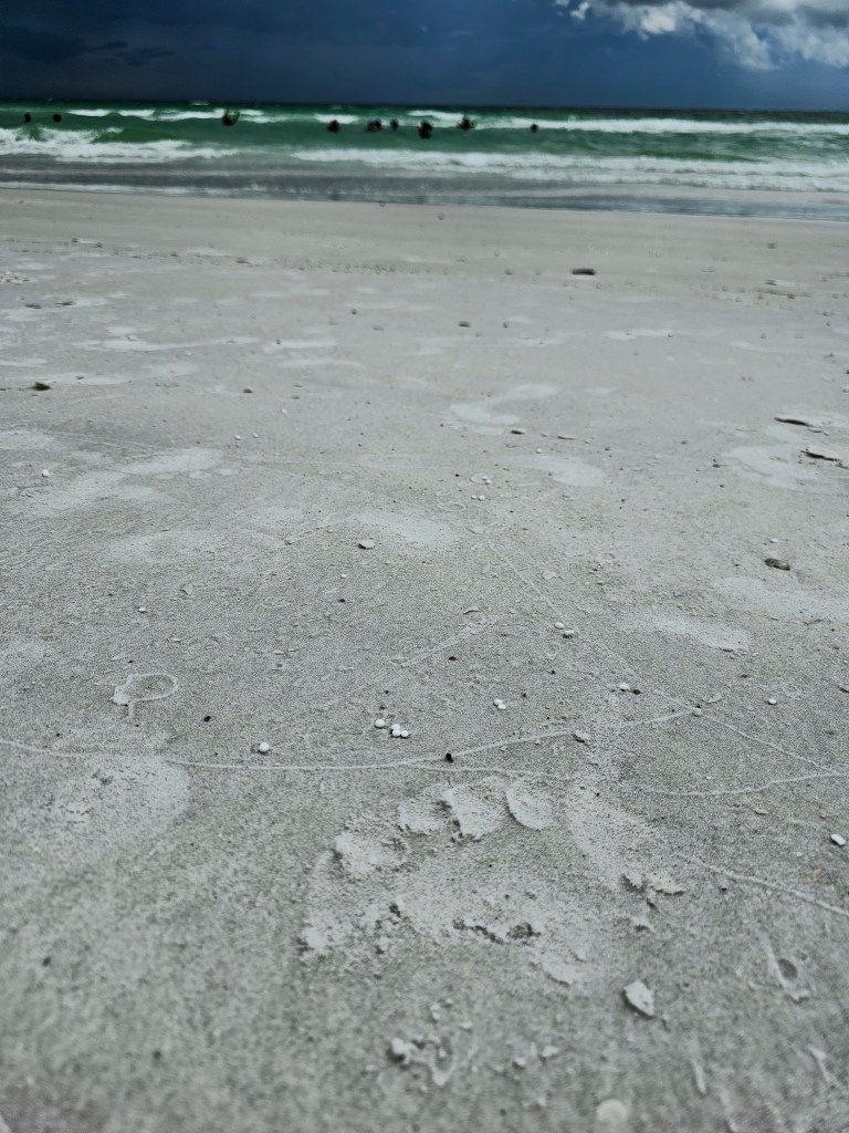 Siesta Key Beach, August 2023